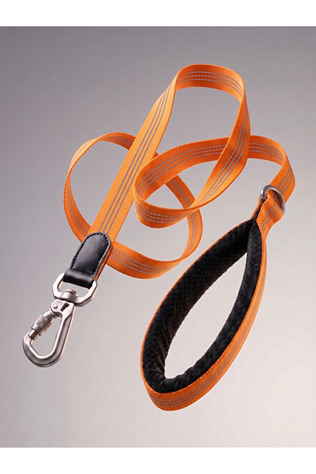 Dog Walking Leash 120 cm Reflective Lockable Carabiner Durable Large Breed