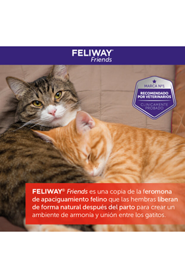 Friends Refills 48 Ml - 8