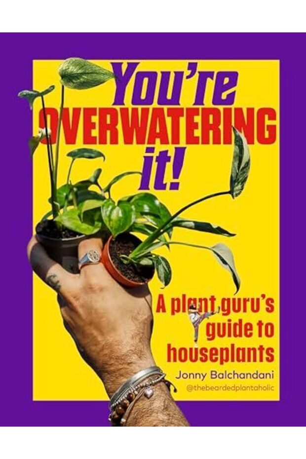 You're Overwatering It!