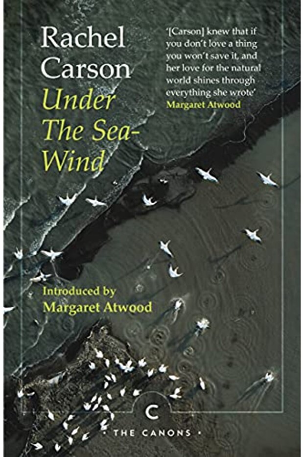 Under the Sea-Wind