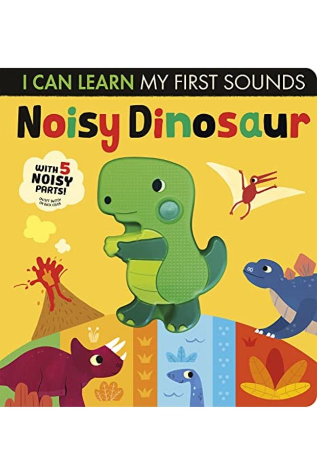 I Can Learn Noisy Dinosaur