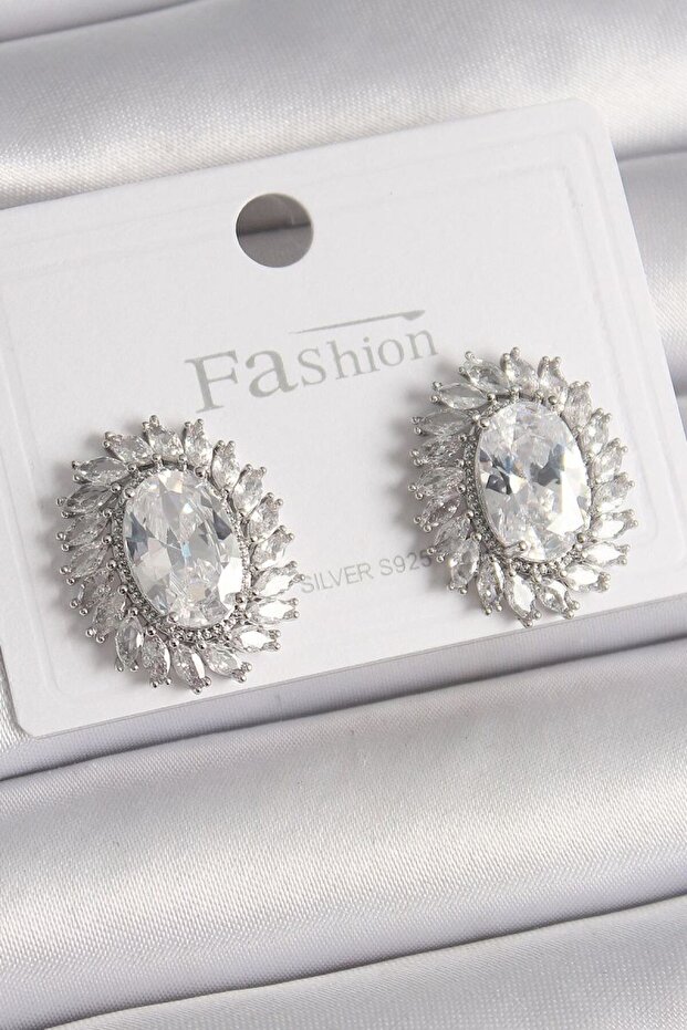 Brass Silver Color Zircon Stone Women's Earrings
