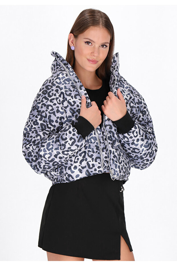 sacou - 3