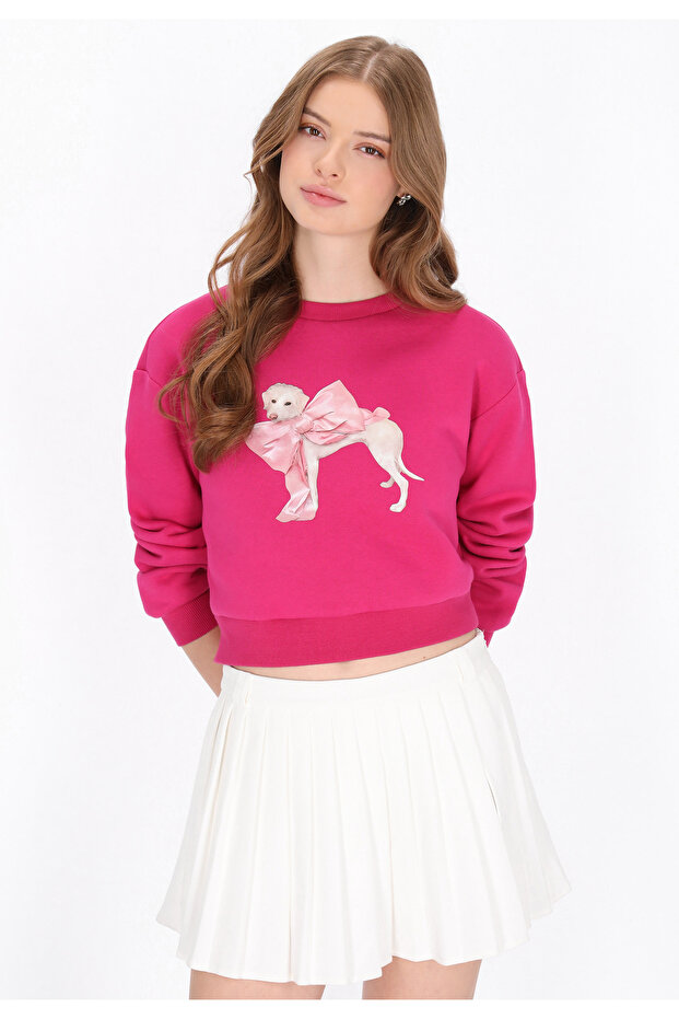 sweatshirt - 3