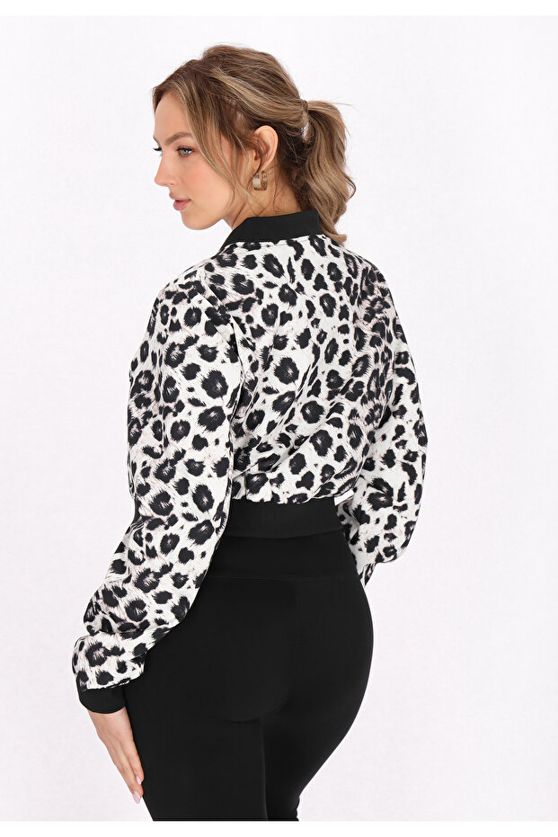 Jacket - 5
