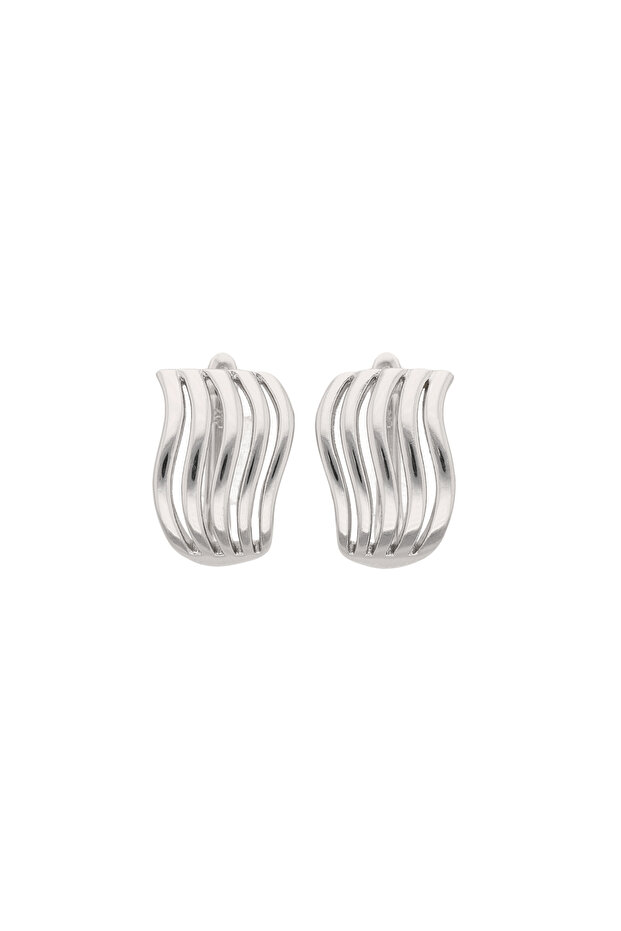 Earrings - 1