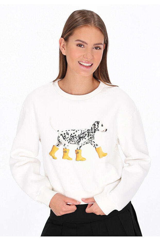 Sweatshirt - 3