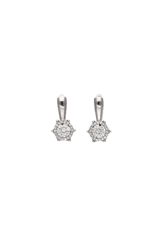 Drop Earrings - 1
