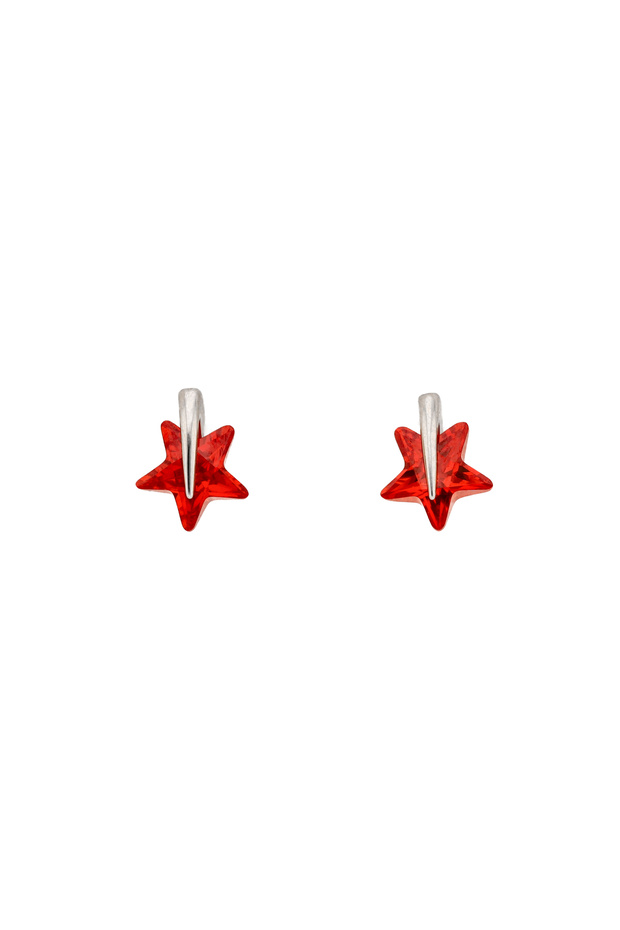 Earrings - 1