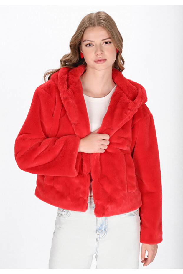 Jacket - 3