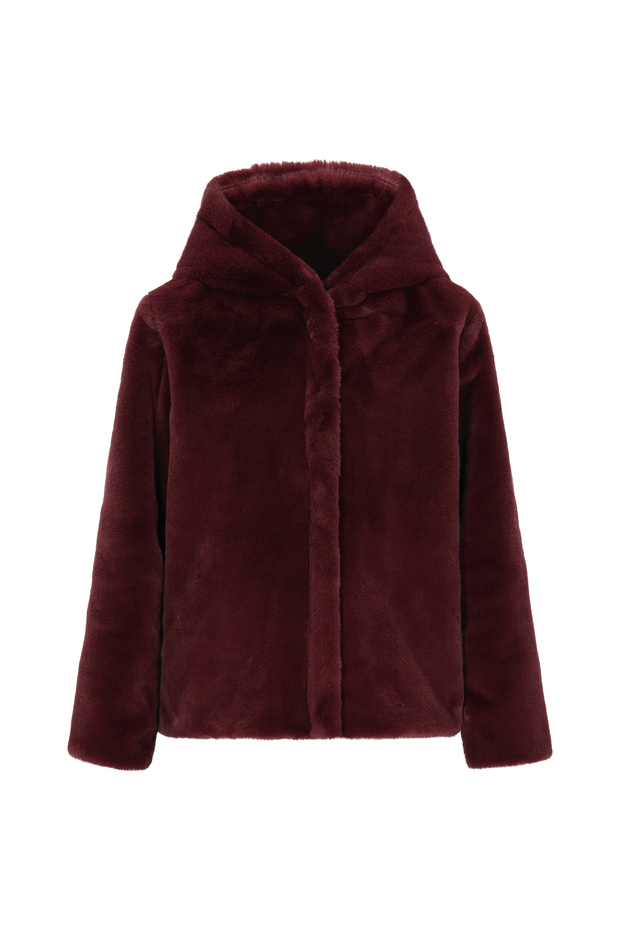 Jacket - 2