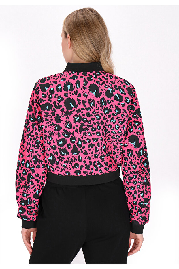 Jacket - 4