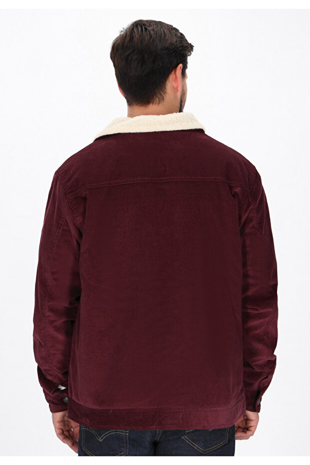 sacou - 4