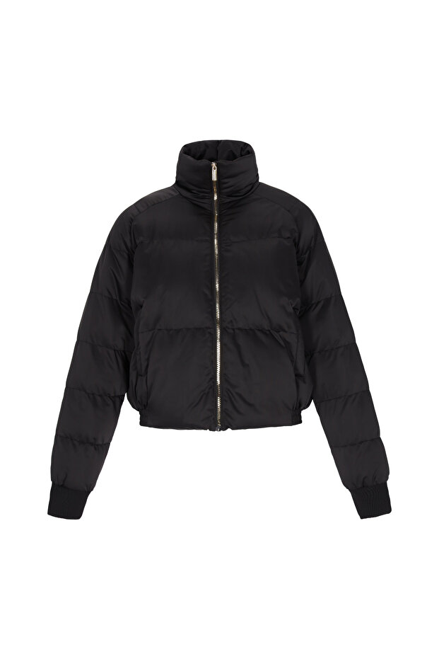 Jacket - 2