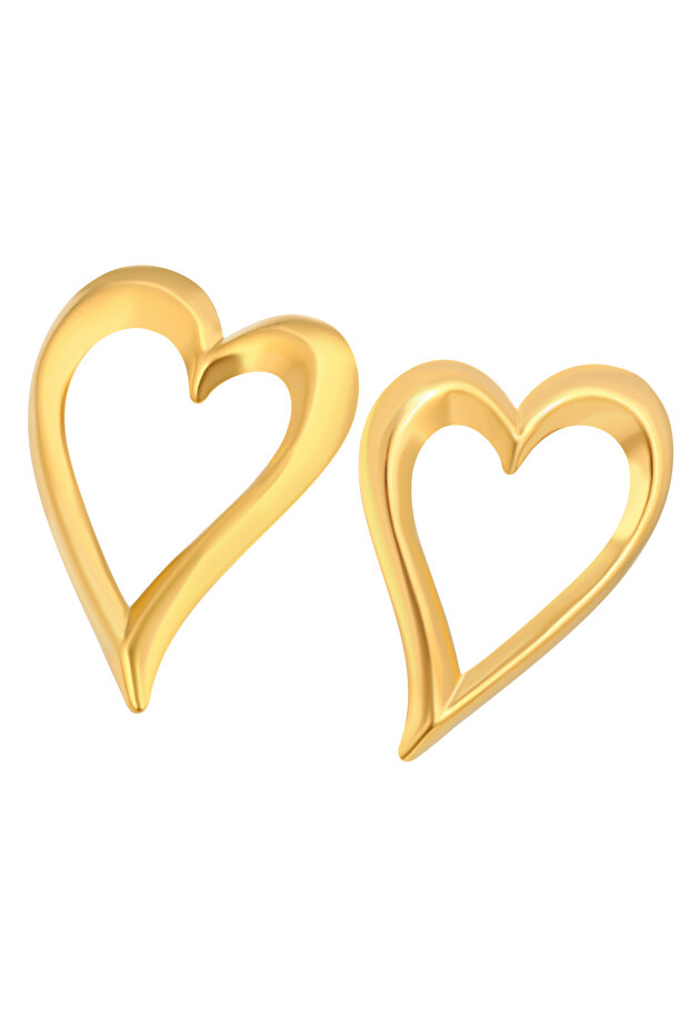 Earrings - 2