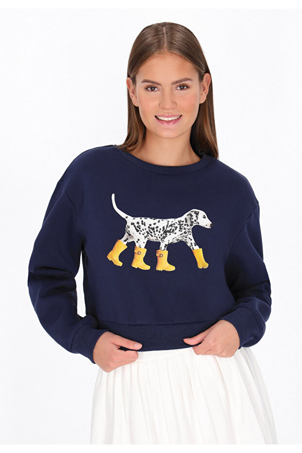 sweatshirt - 3