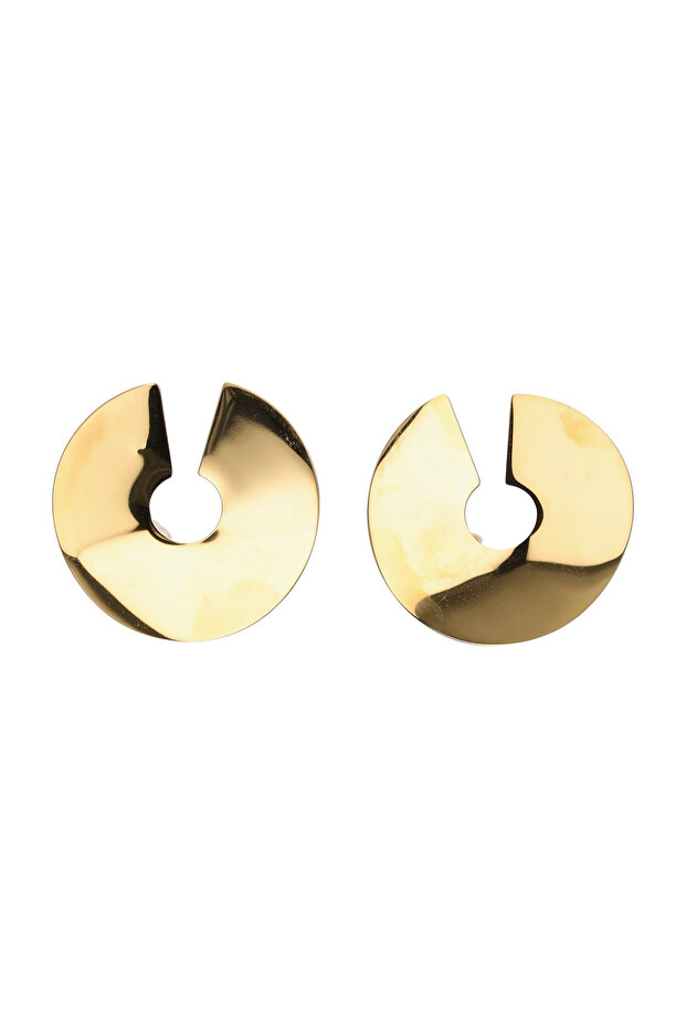 Earrings - 1