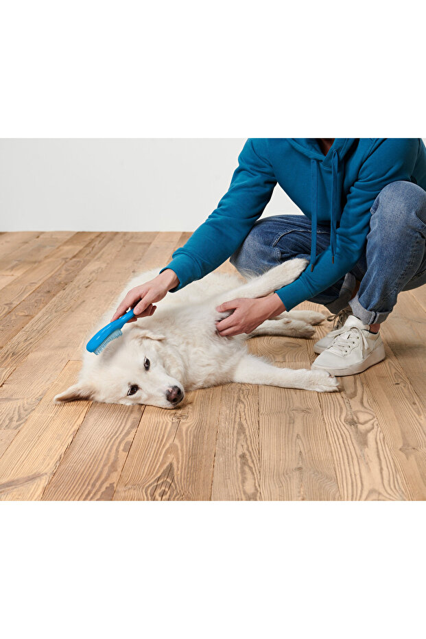 Pet Brush