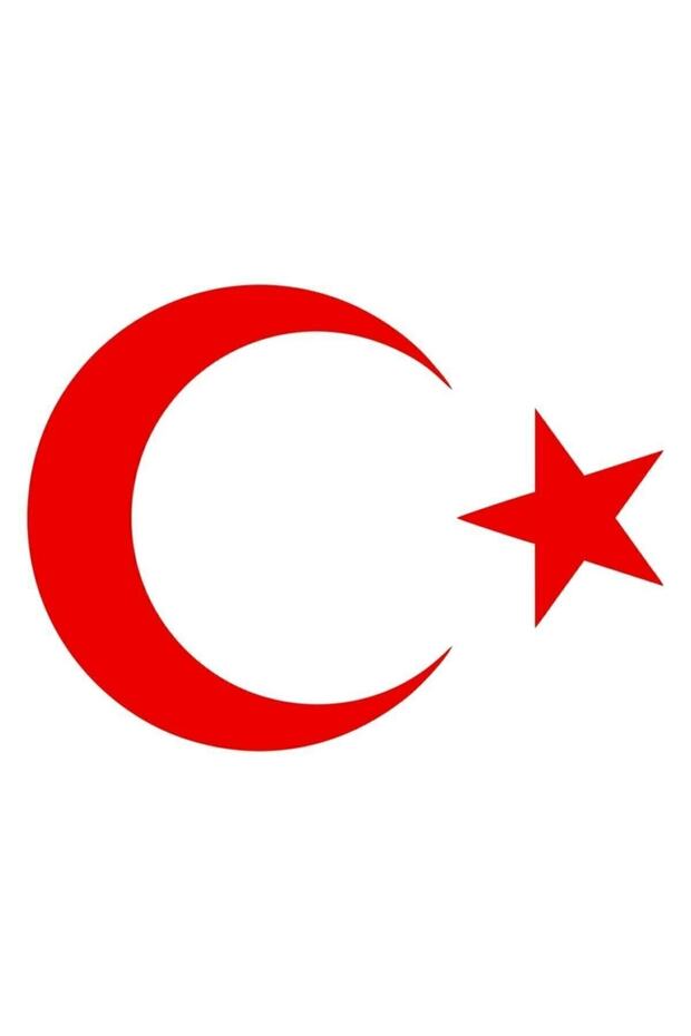 ملصق نجمة القمر الأحمر مقاس 20 سم ملصق العلم التركي