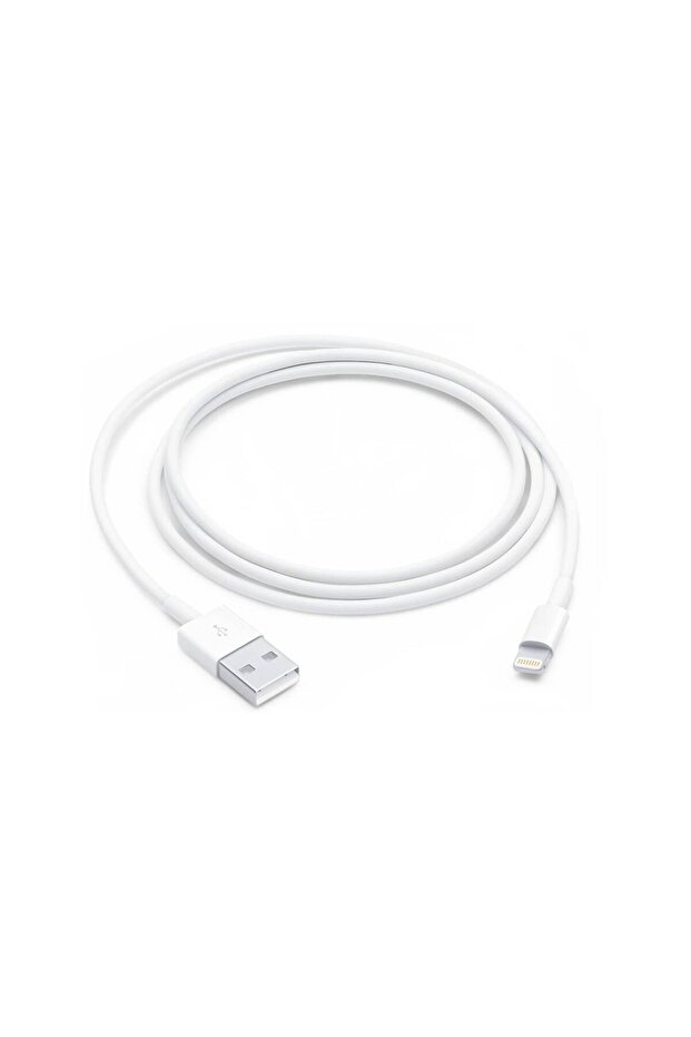 Καλώδιο Lightning σε USB (1μ) - 3