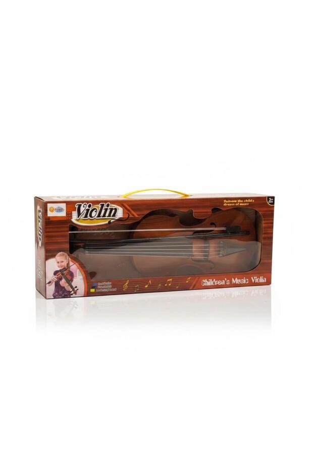 Dmn370 Violin in Box-Dmn