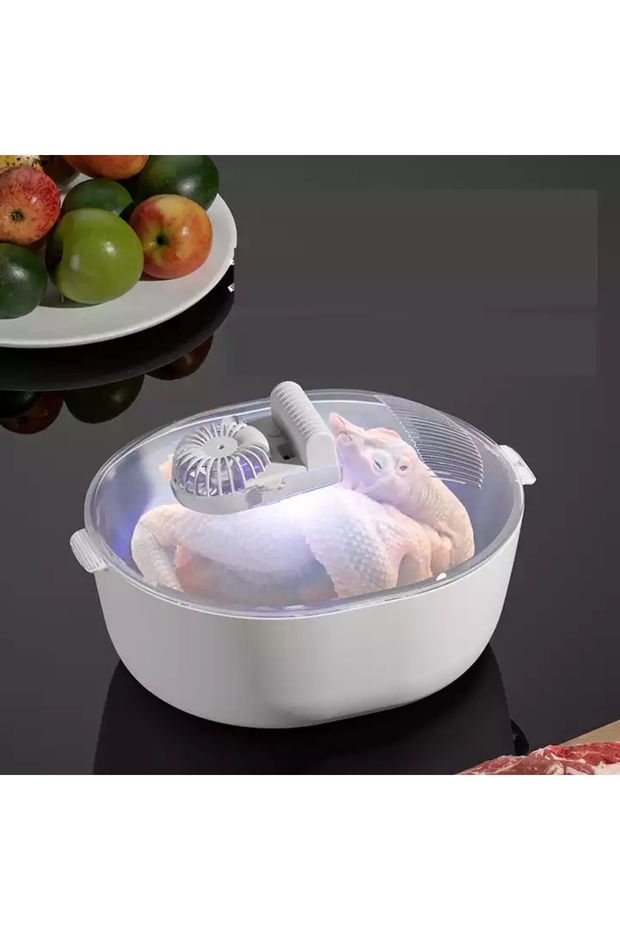 Multi Functional Plastic Meat Thawing & Defrosting Machine with Two-speed Adjustment Frozen Meat