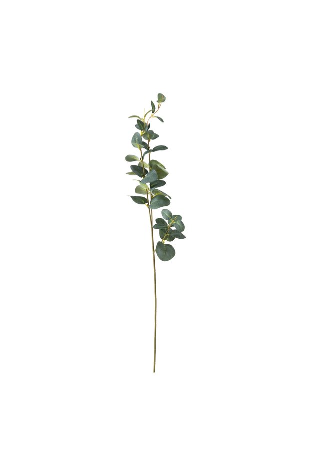 AURA DAL ÇİÇEK 70 CM