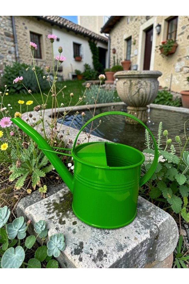Vintage Metal Watering Can, Wrought Iron Watering Pot, Decorative Plant Flower Watering Can Green 1 Lt