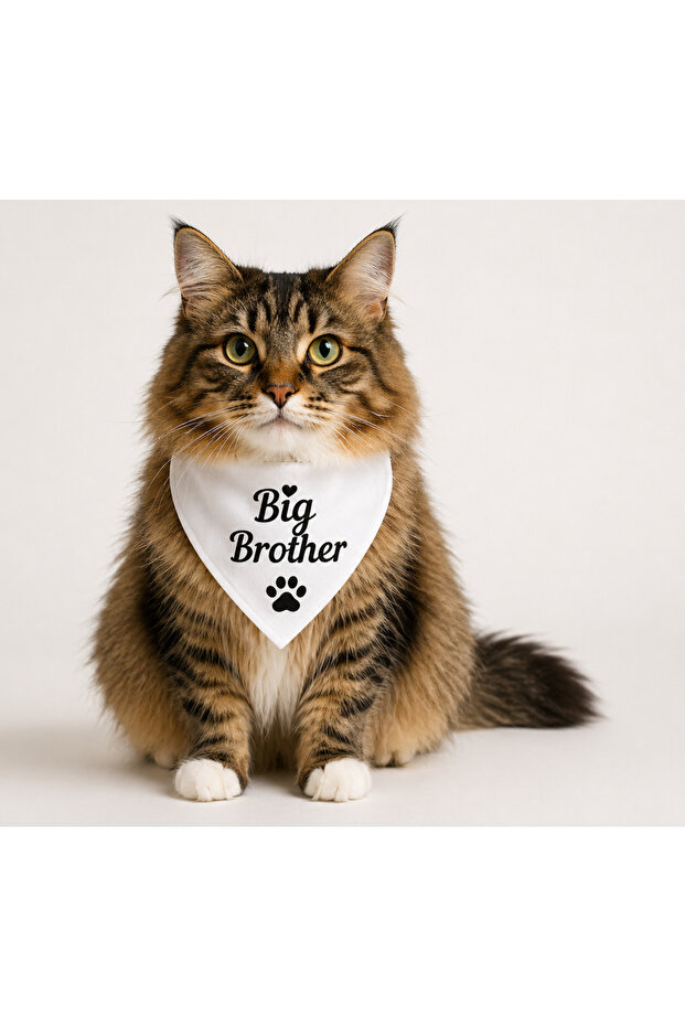Big Brother & Big Sister Written Cat Scarf Bandana