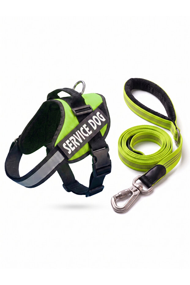 Dog Harness Set Adjustable (Chest + Walking Harness) | For Medium and Large Breeds