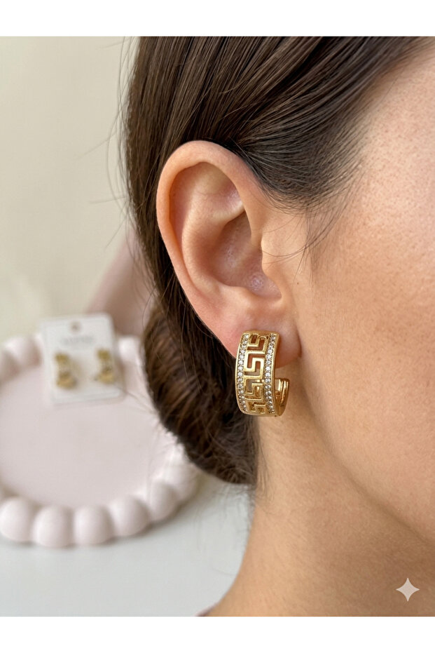 Gold Stone Earrings Model Women's Jewelry