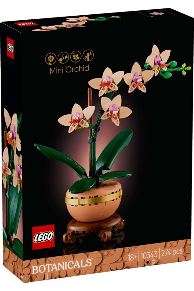 ® Botanicals - Mini orhidee (10343) - 1