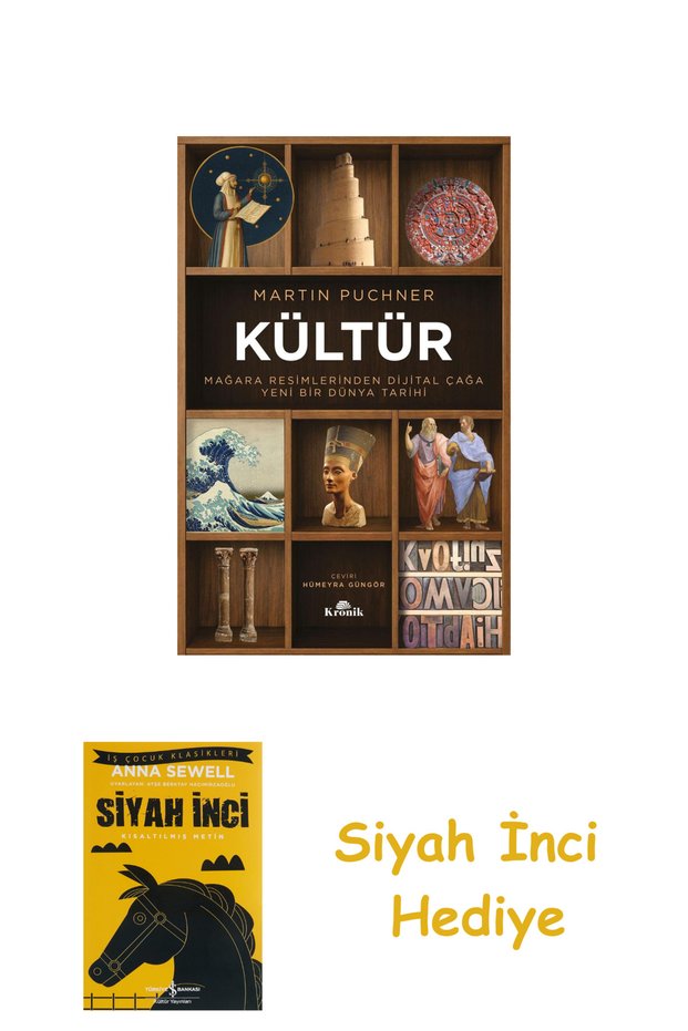 Kültür - Mağara Resimlerinden Dijital Çağa Yeni Bir Dünya Tarihi + Siyah İnci