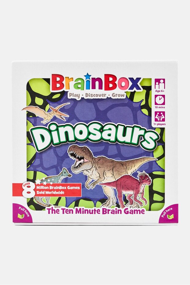 Dinosaurs Ten Minute Brain Game