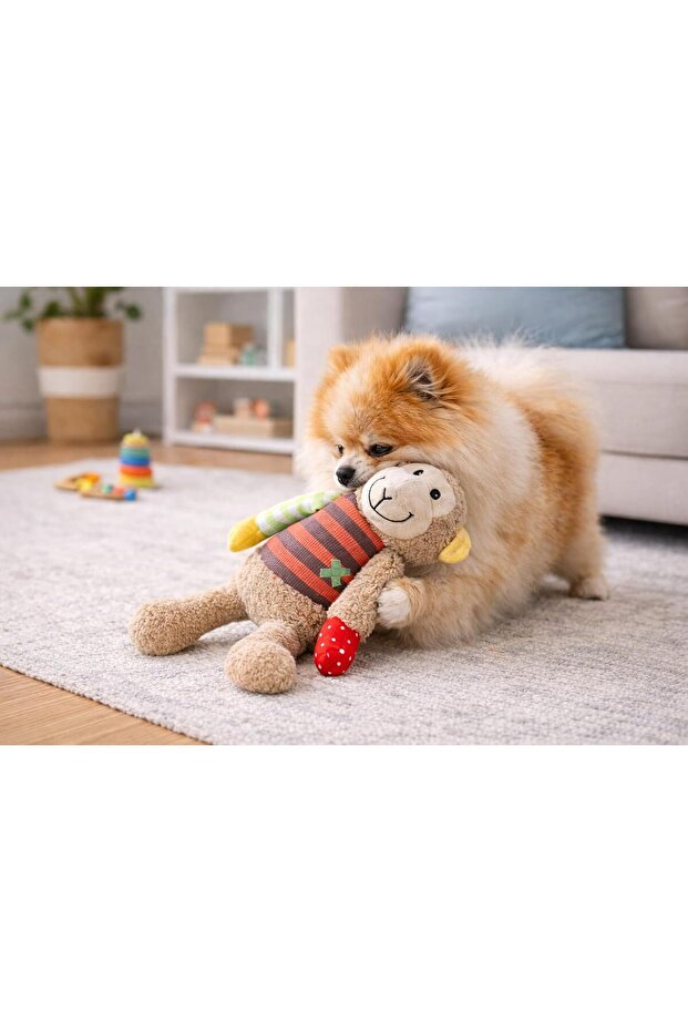 Plush Squeaky Monkey Dog Toy
