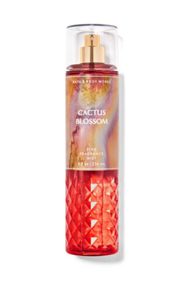 رذاذ عطري فاخر برائحة زهر الصبار 236 مل