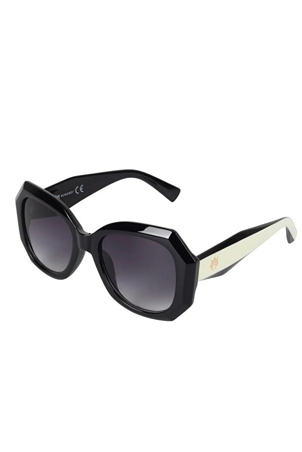 Fls 801 401 53/20/141 Sunglasses