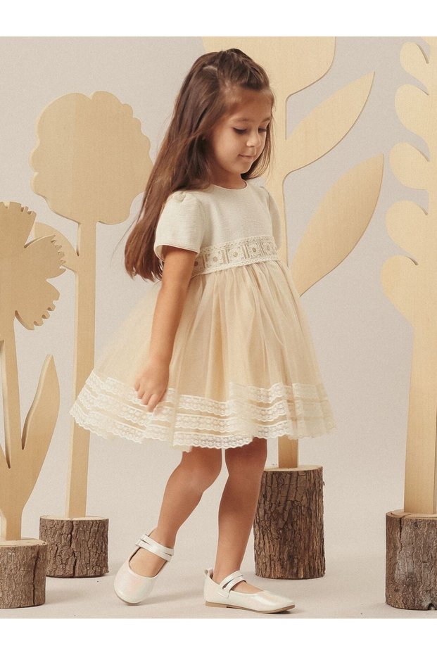 Special Occasion Baby Girl Dress with Premium Lace Detail and Tulle Skirt