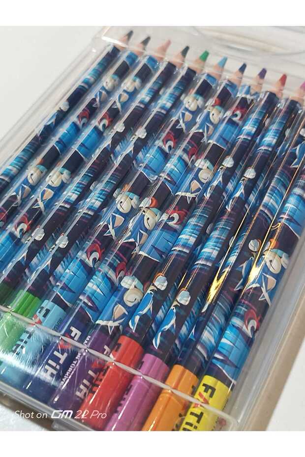 Triangular Colored Crayons in Jumbo Plastic Box - 3