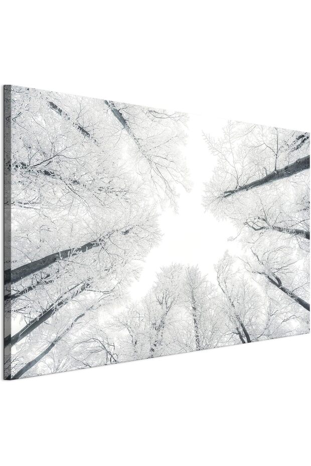 Beautiful Canvas Digital Print Large Wall Paintings Frame 50x100 cm