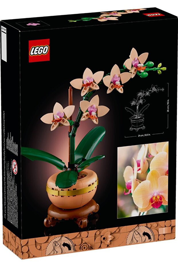 ® Botanicals - Mini orhidee (10343) - 4
