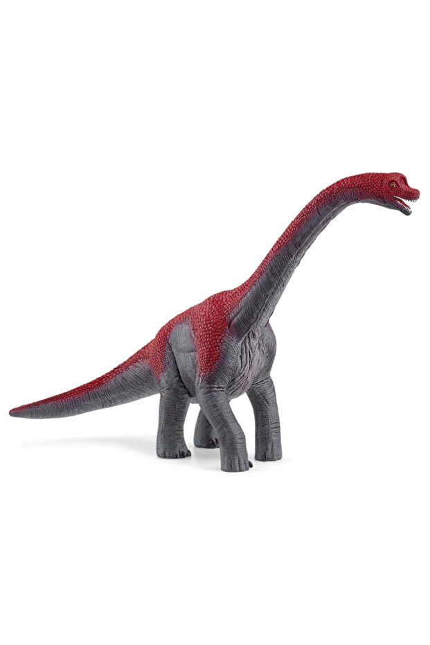 Dinozauri Brachiosaurus (15044) - 2