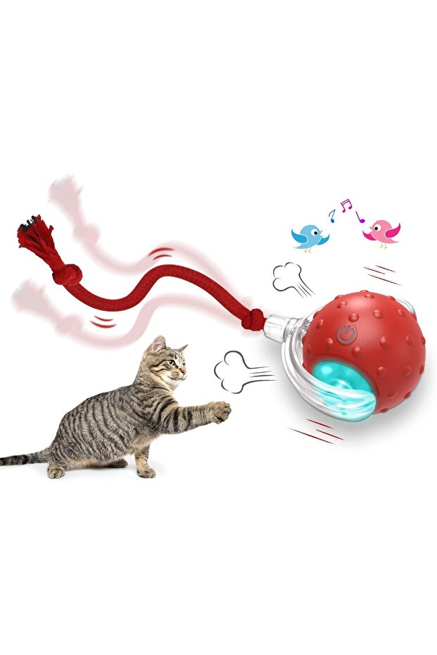 Giociv Interactive Cat Toys Ball, Automatic Cat Interactive Toy for Indoor Cats Fast Rolling on Carp