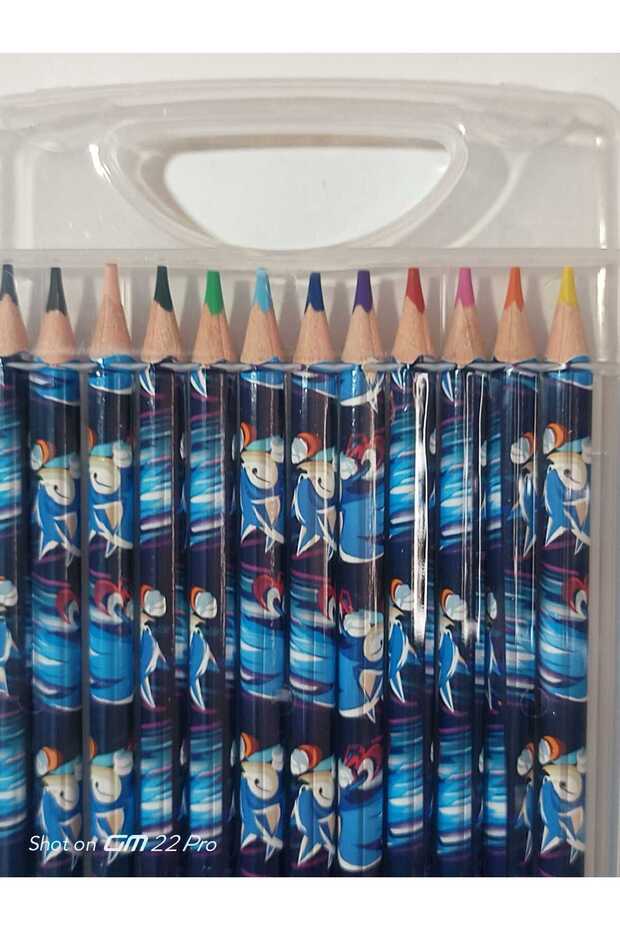 Triangular Colored Crayons in Jumbo Plastic Box - 7