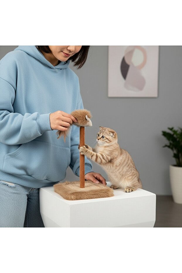 Durable Cat Scratching Board with Sound-Making Toys for Cat and Dog
