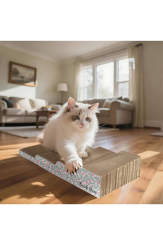Cat Scratcher Ramp