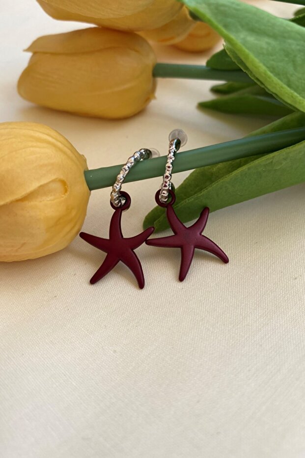 Matte Burgundy Color Antilaergic Star Earrings
