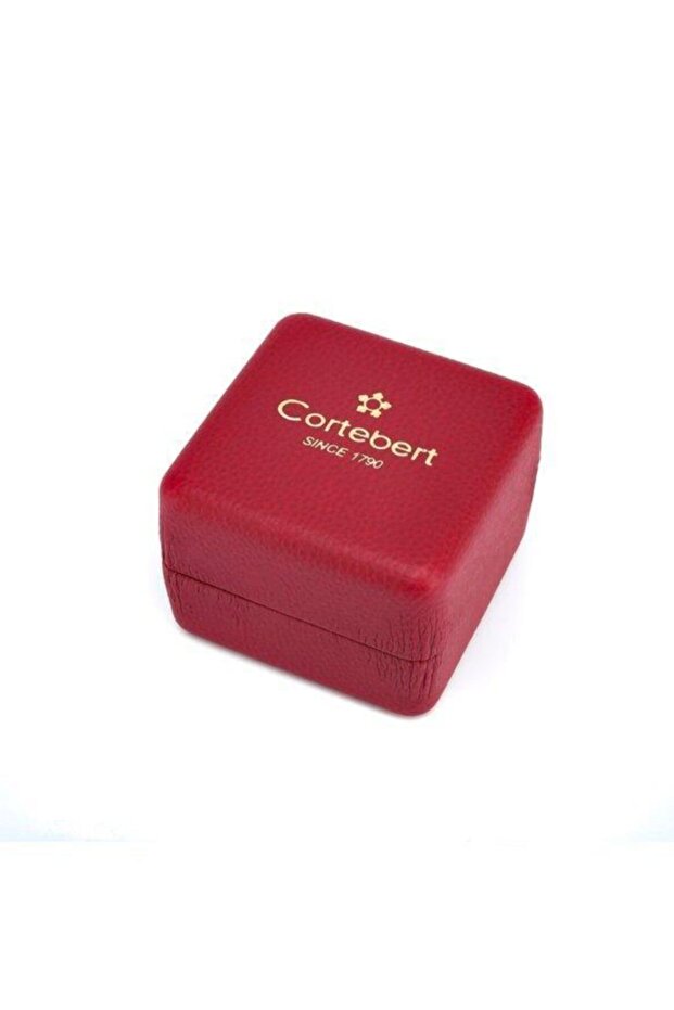 Orjinal Isviçre Analog Kol Saati - 3