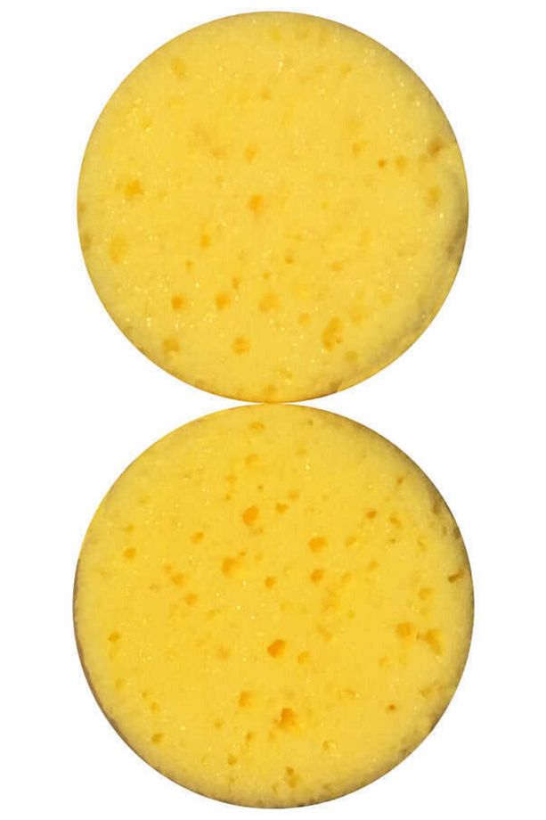 Sünger - 1