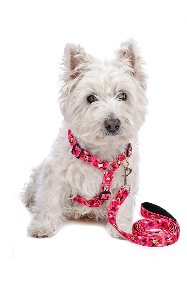 Dog Collar (Chest Collar) Walking Strap Set